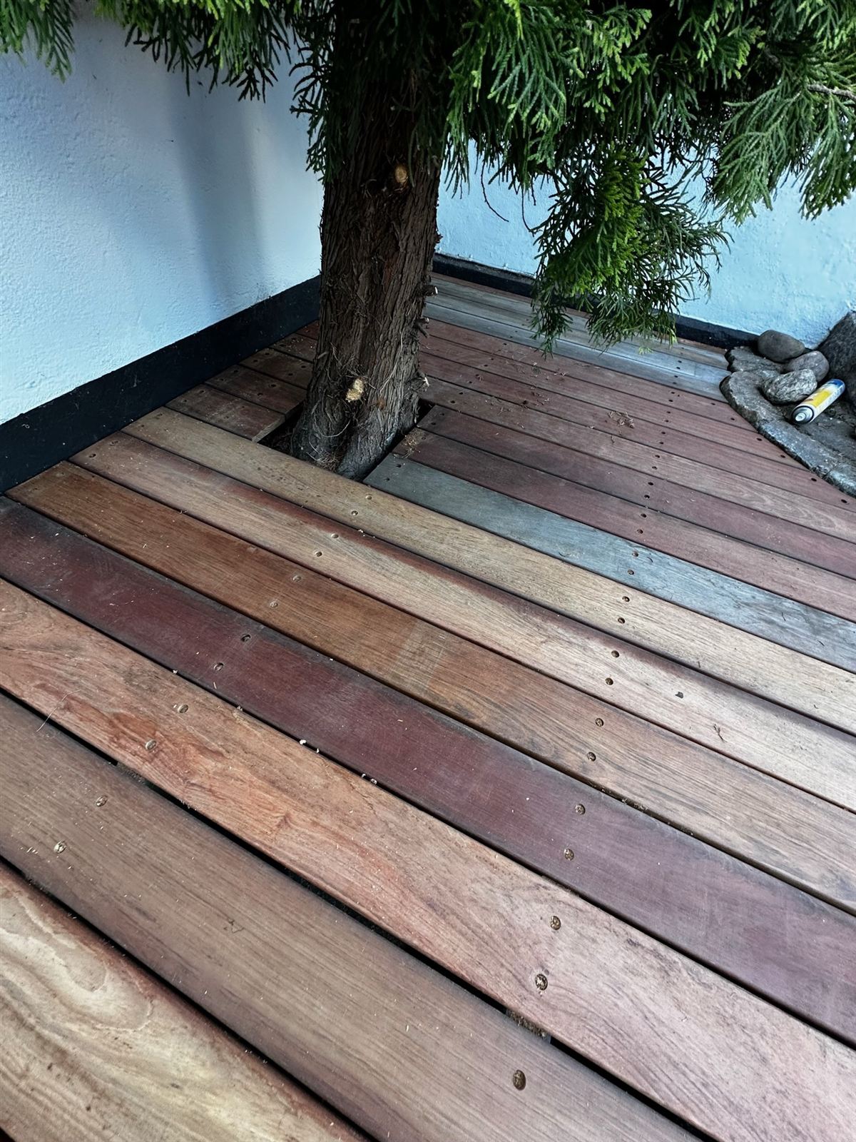 Terrassebrædder lagt omkring et træ
